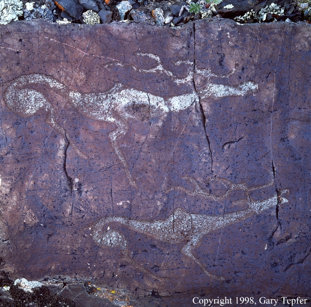 Deer Petroglyph, Tsagaan Gol