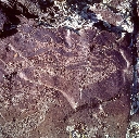 Deer Petroglyph, Har Salaa