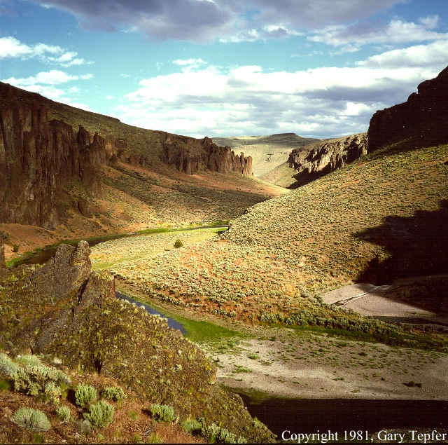 Owyhee Canyon at Five Bars