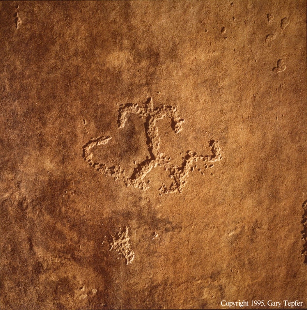 Snake Dancer Petroglyph, Canyon del Muato